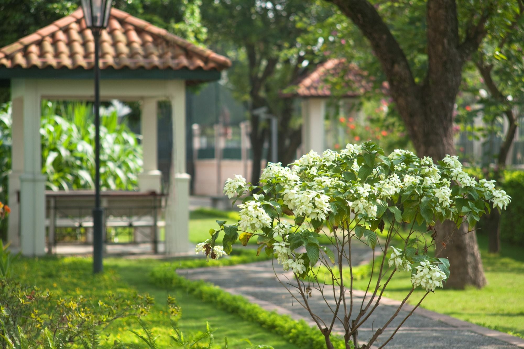 Diamond Westlake Suites Hanoi Zewnętrze zdjęcie